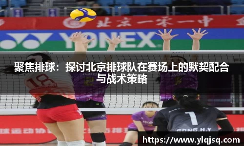 聚焦排球：探讨北京排球队在赛场上的默契配合与战术策略